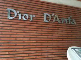 Dior D'Anfa