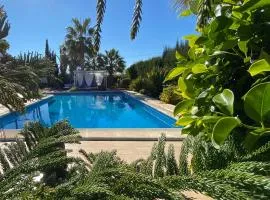 Vacaciones La Marina Costa Blanca