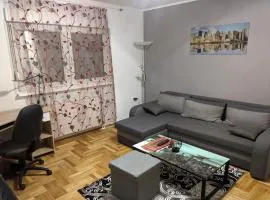 Apartment in quiet area with free parking