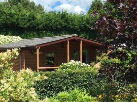 East Crinnis Log Cabin, hotel in Par