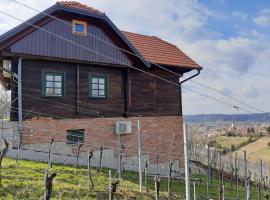 Kuća za odmor Cesarica – dom wakacyjny w mieście Marija Bistrica