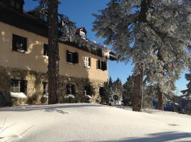 Jubilee Hotel Troodos, hotel v destinaci Troodos