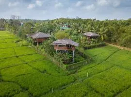 The Hideout Sigiriya