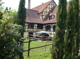 Maison de vacances Alsace - Ferienhaus Elsaß - Holiday house Alsace