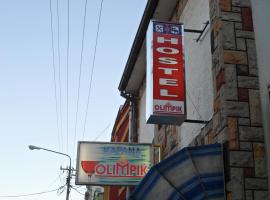 Hostel Olimpik, hostel em Negotin