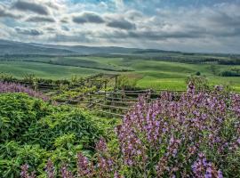 Agriturismo Le Tassinaie, B&B in Castellina Marittima