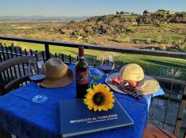 Hotel Sangallo B&B - panoramic position - Valley and vineyard view- family run