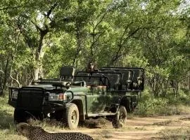 Karongwe Portfolio- Shiduli Private Game Lodge