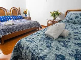 Vivienda Turística "El Coronel"