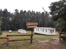 Domki pod lasem w Narolu.: Narol şehrinde bir kulübe
