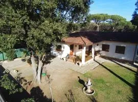 Casa en Parque Natural del Montseny.