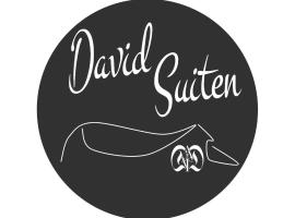 DAVID SUITEN, hotel Mauterndorfban