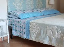VelaLatina