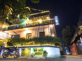 Big Tree Hostel, hotel in Kathmandu