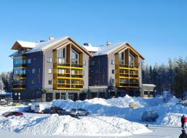 Levin Kunkku C9, hotel near Peak Lapland Viewing Deck, Levi