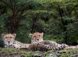 Cheetah Ridge Lodge, chata v prírode v destinácii rezervácia voľne žijúcej zveri Nambiti