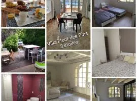 Villa Fleur des Pins 14 personnes 3 étoiles Bassin Arcachon