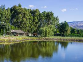 Dunstan Road B&B, bed & breakfast i Alexandra