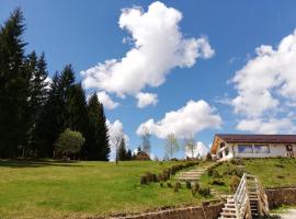 Pensiunea L`Amoro, hotel in Neagra Şarului