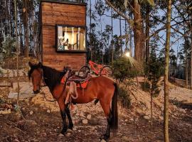 El Bosque de Paipa, hotel v destinácii Paipa