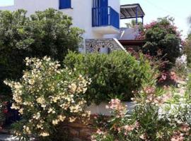 Village house in Paros, villa in Drios