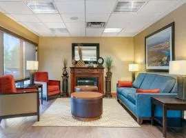 Comfort Inn Chattanooga Downtown Southside