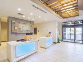 Holiday Inn Express Hotel & Suites Tampa-USF-Busch Gardens by IHG