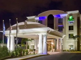 Holiday Inn Express Hotel & Suites Tampa-USF-Busch Gardens, an IHG Hotel