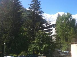 Appartement Chamonix - Vue Mont Blanc, hotel in Chamonix