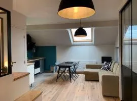 Appartement neuf scintillant de l’île d’amour