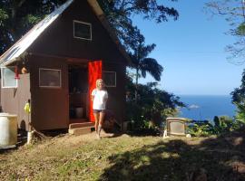 Tony's Offgrid Cabin Getaway, hotell i Scarborough