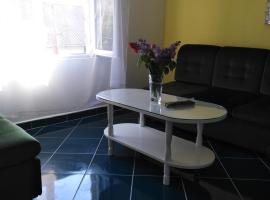 Apartman Silvana, hotel em Rudnik