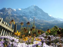 Chalet uf em Stutz 1, hotel a Grindelwald