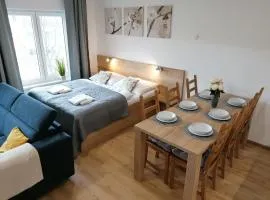 Apartmán Frymburk-Lipno G10