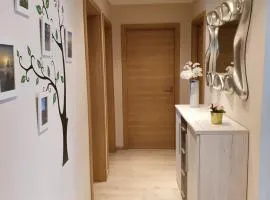 Appartement Cime l'Est