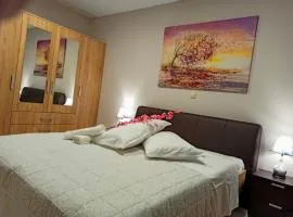 Central Square Apartment 1