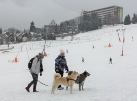 Ahorn am Fichtelberg, hotel v destinaci Capellen