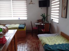 Apartman Ema, holiday rental in Sloup