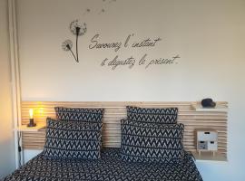 LE GARDEN CENTRAL STUDIO, apartment in Dinan