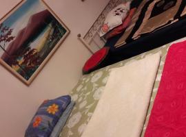 Next to City Center, Beside Bus and Train Station, Safe and Cozy Place, homestay in Oulu