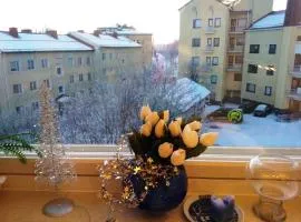 Koskikatu Apartment
