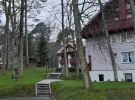 Kalno namai - apartamentas Juodkrantėje