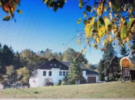 Pension Haus Fürstenberg