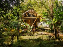 Wildlife Lodge Cahuita，卡維塔的木屋