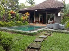 Dedik House