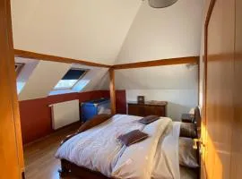 Appart Les Cerises Entre Strasbourg et Haguenau