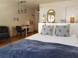 Studio - Cosy et central, Haute-Nendaz, 4 Vallées