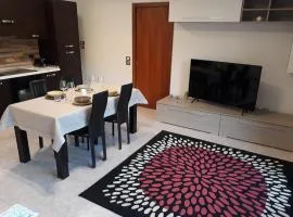 Elite Apartments