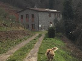 La Difesa, orlofshús/-íbúð í San Romano di Borgo a Mozzano