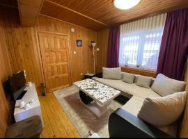 Apartment Aleksić、ジャブリャクのホテル